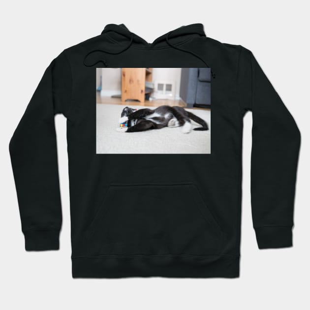 polydactyl cat Hoodie by xaxuokxenx